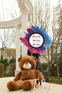 خرس خاکستری یک و نیم متری