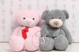 خرس خاکستری یک و نیم متری