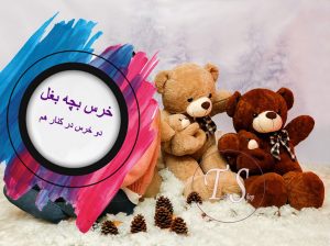 خرس 120 سانتیمتری بچه دار