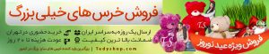 صفحه اصلی