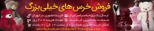 صفحه اصلی