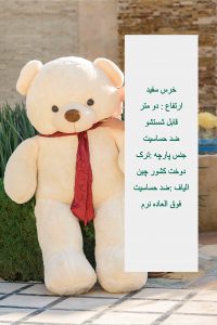 صفحه اصلی