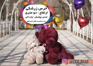 صفحه اصلی