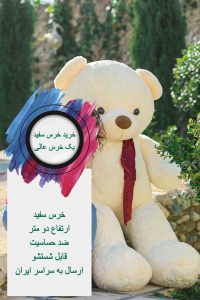 صفحه اصلی
