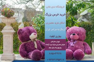 صفحه اصلی