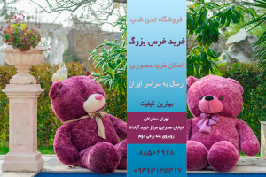 صفحه اصلی
