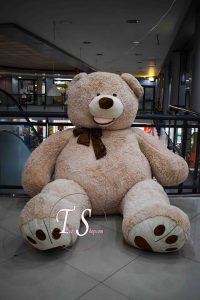 خرس گیریزلی 3 متری