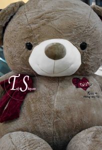 خرس قهوه ای روشن قلب دار زرشکی ۱۷۰ سانت