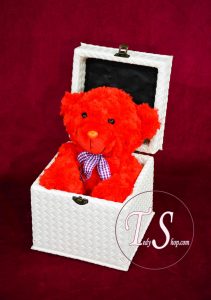 باکس چرمی قفل دار 15x15x15