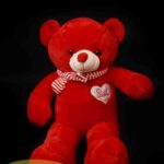 خرس قرمز قلبی شالگردن دار (۴)