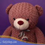 TED_0601