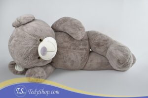 فروشگاه تدی شاپ خرس بزرگ و اورجینال