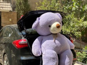 خرس دو متری بنفش بسیار خپل