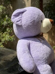 خرس دو متری بنفش بسیار خپل