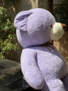 خرس دو متری بنفش بسیار خپل