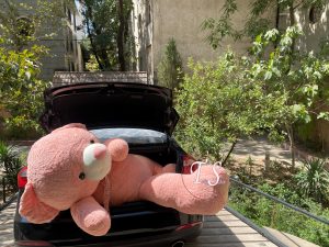 خرس تدی غول‌پیکر ۲ متری گلبه ای
