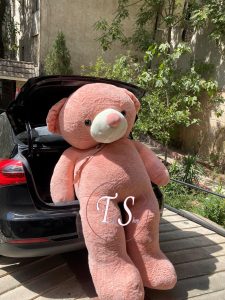 خرس تدی غول‌پیکر ۲ متری گلبه ای