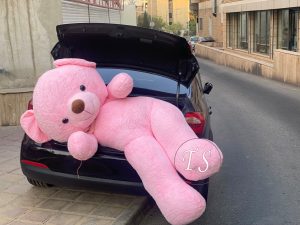 خرس تدی غول‌پیکر ۲ متری گلبه ای