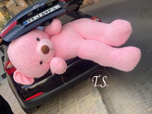 خرس تدی غول‌پیکر ۲ متری گلبه ای