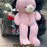 خرس کالباسی راس 220 سانتی