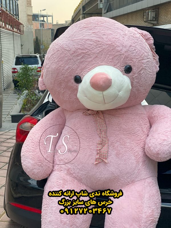 خرس کالباسی راس 220 سانتی