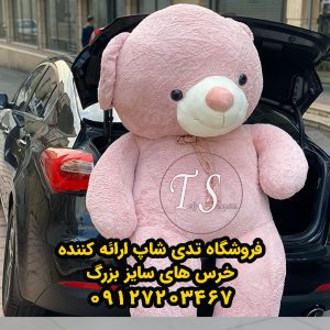 خرس کالباسی راس 220 سانتی - تصویر 3