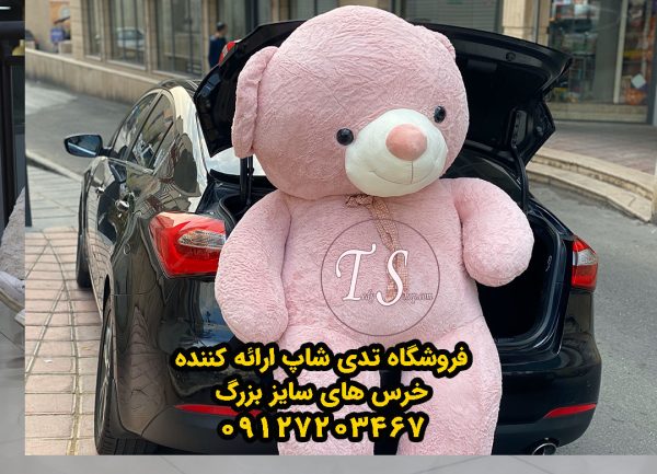 خرس کالباسی راس 220 سانتی