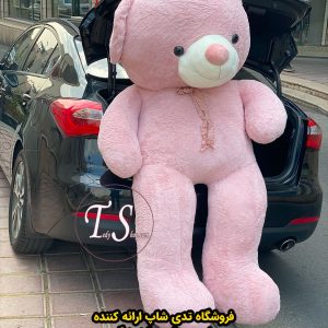 خرس کالباسی راس 220 سانتی