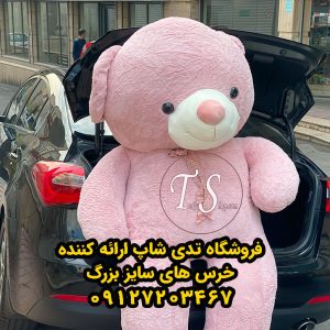 خرس کالباسی راس 220 سانتی - تصویر 4